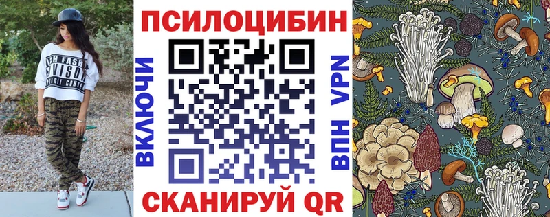 как найти закладки  Западная Двина  ссылка на мегу ONION  Псилоцибиновые грибы Psilocybine cubensis 